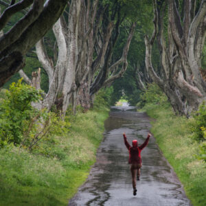The Dark Hedges – Mystisch !!